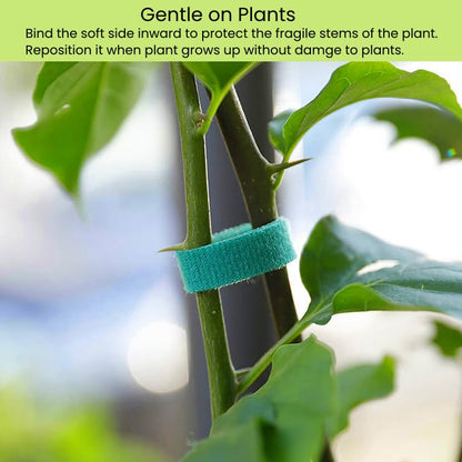 Plant Ties Hook and Loop Garden Tapes 1/2'' Wide Fabric Fastening Tape Double Sided Self Gripping Strap Reusable Adjustable Cable Ties Garden Vines Ties, Soft Plant Tie (1/2 Inch x 32 ft, Green) - size: 1/2 Inch x 32 Feet