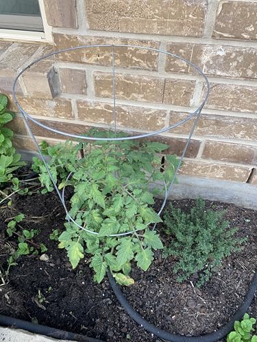 33 Inch Galvanized Steel Tomato Cage Heavy Duty Vegetable Plant Support Frame