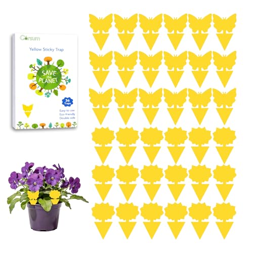 Garsum Fruit Fly Sticky Trap for Indoor and Outdoor, 36 Pack Fungus Gnat Killer for Houseplant,Mosquitos, Flying Insect, White Flies - color: 36 PCS