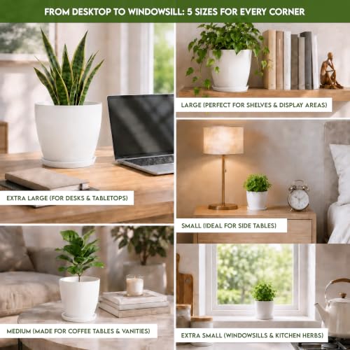 Plant Pots Indoor with Drainage, 5 Pack Multi-Size Planters Set, White - color: White, size: Pack of 5