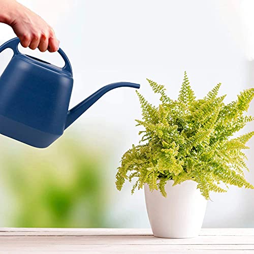 Fasmov Plastic Watering Can, Blue, 1-Gallon