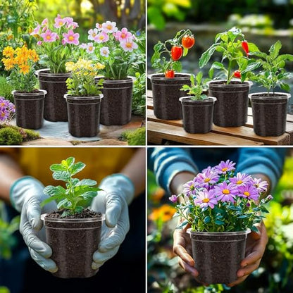 30 Pack Clear Nursery Plant Pots, 5 Inch with Drainage Holes, 20 Labels - size: 5 inch 30p