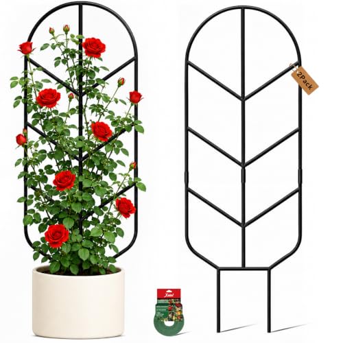 Plant Trellis for Potted Plants, Trellis for Climbing Plants - size: 32.6in/2P