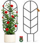 Plant Trellis for Potted Plants, Trellis for Climbing Plants - size: 32.6in/2P