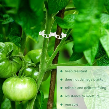 PEASUG 150 Pcs Plant Clips 0.25 Inch Hole for Climbing Tomato Grape Vine