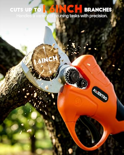 4-in-1 Pole Saw & Pruning Shears - color: Vivid Orange