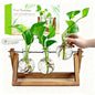 Renmxj Plant Propagation Station, Plant Terrarium with Wooden Stand - size: 3 Bulb Vase