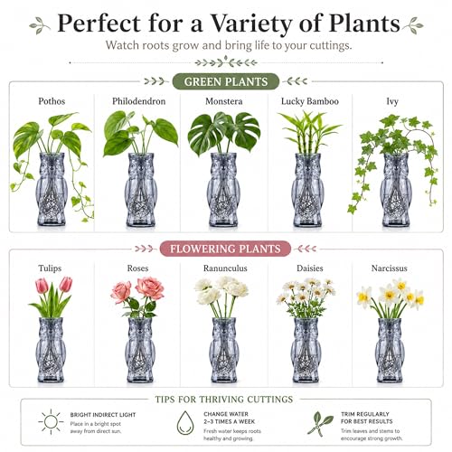 Nacome Owl Plant Propagation Station: Set of 4 Cute Grey Glass Vases - color: Gray