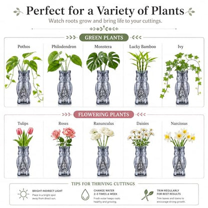 Nacome Owl Plant Propagation Station: Set of 4 Cute Grey Glass Vases - color: Gray