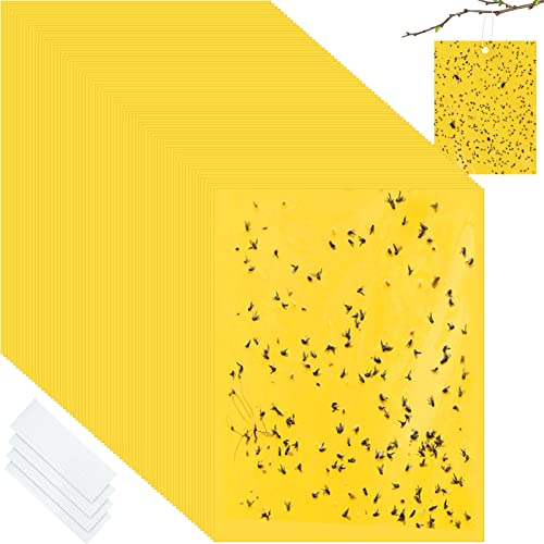 Qualirey 100 Pcs 6x8 Inch Yellow Sticky Traps for Gnats - color: Yellow