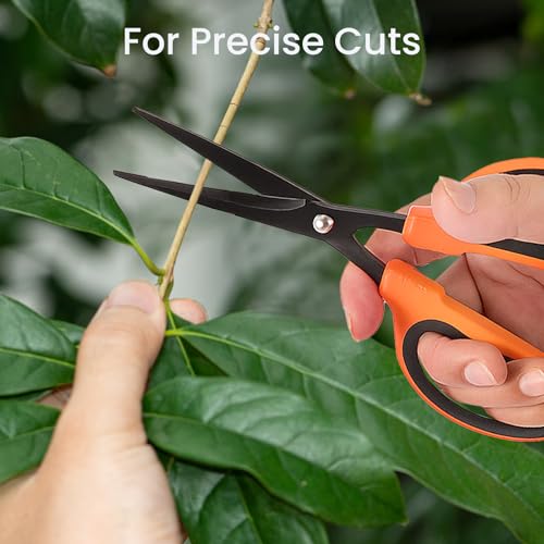 GROWNEER 6 Packs Trimming Scissors Teflon Coated Non Stick Blades Pruning Shears Gardening Hand Pruning Snips with Straight Stainless Steel Precision Blade