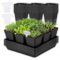 GREANER 50 Pcs Nursery Pots 4 Inch, 5 Packs 12 Inch Reusable Seed Starter Tray, Plastic Sturdy Planting Pots with 20PCS Plant Labels for Indoor Outdoor - size: 4" Pots-50PCS + 12" Trays-5PCS