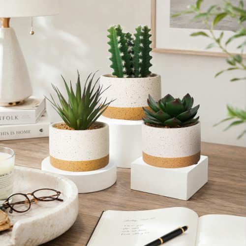 Artificial Succulent Cactus Plant Set Ceramic Flower Pot Set of 3 for Home, Office, Desk, Bedroom, Living Room Decoration