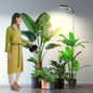 Garpsen Grow Lights for Indoor Plants, 6000K, Height Adjustable, Plug-in - size: 6.3''Head（Height 65'')-1Pack