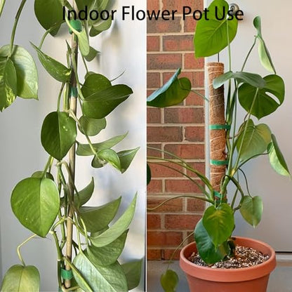 Plant Tape for Supporting Plants - 1/2" x 66ft Reusable Soft Garden Tie