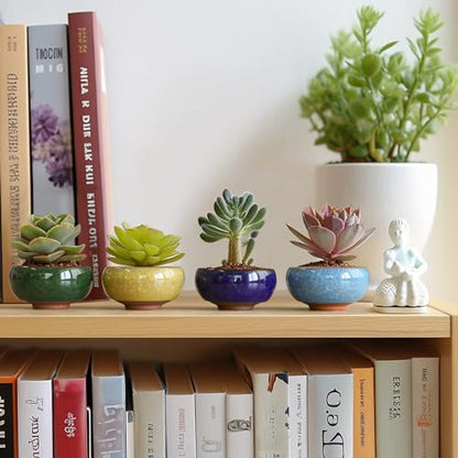 T4U Mini Succulent Pots, Small Shallow Ceramic Pots, Retro Gift Set of 12 - size: Small