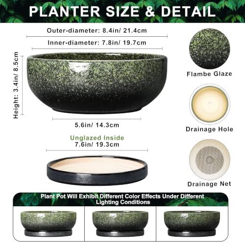 Bonsai Tree Pots, 8 Inch Ceramic Succulent Planter, Speckle Green - color: Speckle Green, size: 8 Inch