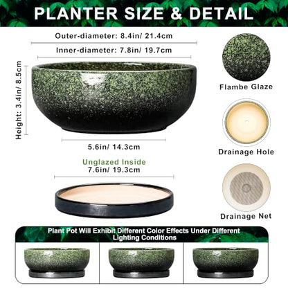 Bonsai Tree Pots, 8 Inch Ceramic Succulent Planter, Speckle Green - color: Speckle Green, size: 8 Inch