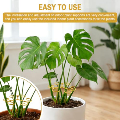 5Pcs Plant Stem Support Iron Monstera Plants Supports - color: Gold