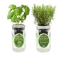 2-Pack Hydroponic Mason Jar Herb Garden Kit, Indoor Herb Garden Self-Watering Starter Kit, New Christmas Gift for Mom (Basil,Rosemary)