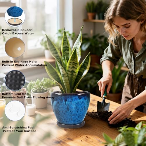 Ceramic Plant Pots With Saucer & Drainage Hole, 6 inch Indoor Flower Pots - color: Blue, size: 6 inch