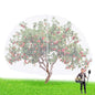 1 Pcs Large Fruit Tree Netting 14 X 18 Ft with Zipper Drawstring - size: 14 x 18 ft