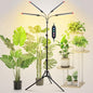 4‑Head Full Spectrum Standing Grow Light for Tall Indoor Plants - size: Stand-4Head-36W