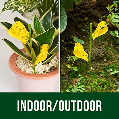 Garsum 21 Traps Sticky Houseplant Traps Gnat Yellow Insect Trap Indoor Fruit Fly Stakes Trap - color: 21 PCS