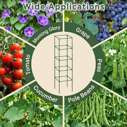 2 Pack 72" Tomato Cages for Garden, Heavy Duty Adjustable Plant Support - size: 72 inch