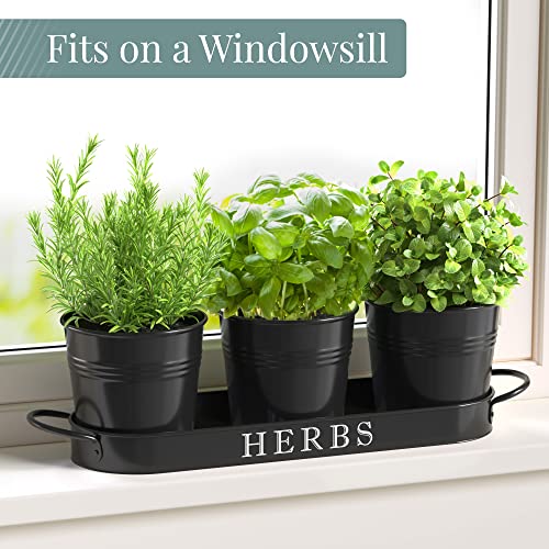 Barnyard Designs Indoor Herb Garden Planter Pots with Tray Set/3 (Black) - color: Black