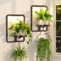 iDavosic.ly Wall Plant Picture Frame Holder Set of 2 & 2 Grow Light, Bronze - color: Bronze with 2 Lights, size: Rectangular