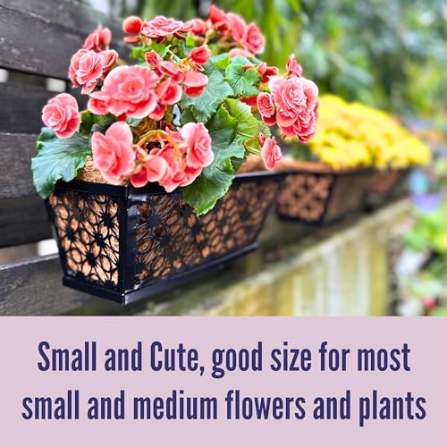 LaLaGreen Black Wall Planter (12 in, 4 Pack) Trough Window Flower Box - size: 12" (30cm) x 4 pack