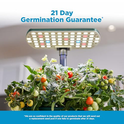 AeroGarden Harvest Lite, Green - color: Green, style: Harvest Lite