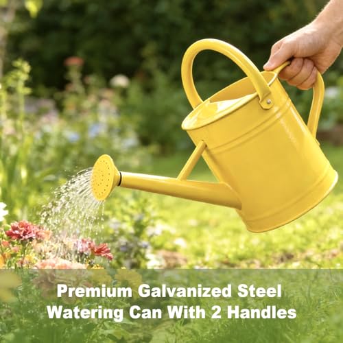1 Gallon Watering Can for Outdoor&Indoor Plants，Yellow - color: Yellow