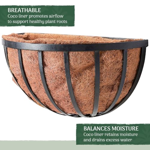 Arcadia Garden Products 1527 Half Round Circle Wall Mounted Planters with Coco Liner 16"