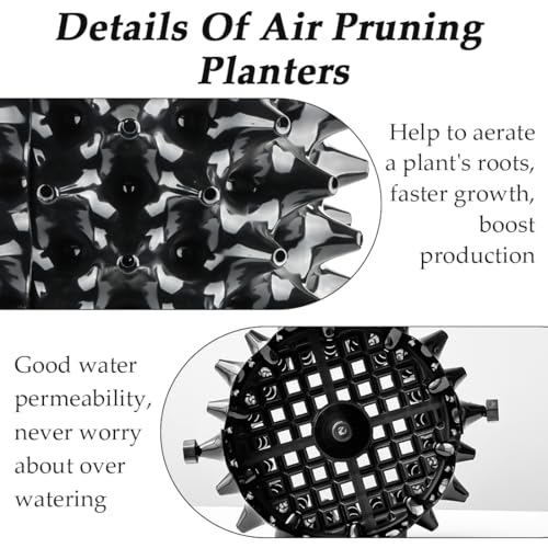 RooTrimmer 3 Gallon Air Pruning Container New Plastic Nursery Pot Fruit Vegetable Garden self-Planting pots, Size 10"x10", Black - size: 3 gallon-10P