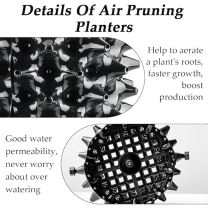 RooTrimmer 3 Gallon Air Pruning Container New Plastic Nursery Pot Fruit Vegetable Garden self-Planting pots, Size 10"x10", Black - size: 3 gallon-10P
