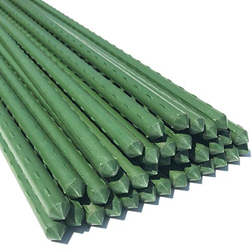 WAENLIR Garden Stakes 30 inch 2.5ft Sturdy Tomato Stakes, Plant Stakes for Outdoor Plants, Plant Support Sticks for Gardening, Pack of 30