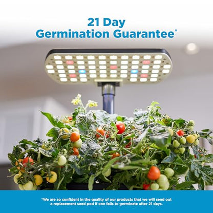 AeroGarden Harvest Lite, Black - color: Black, style: Harvest Lite