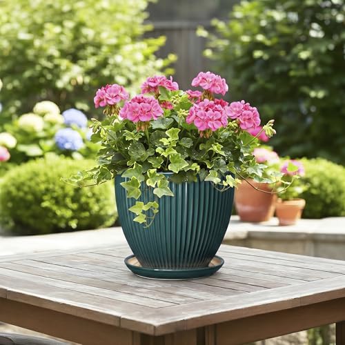 Ceramic Planter, 8 Inch Plant Pots with Saucer, Blackish Green - color: Blackish Green, size: 8 Inch