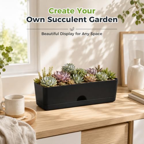 6 Pack Rectangle Planter 16x4.4 Inch Window Boxes Planters Rectangular Window Sill Planters Indoor Self Watering Plant Pots with Drainage Holes and Saucers Succulent Herb Flower Pots, Black - color: Black