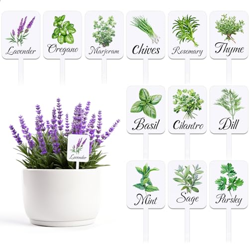 Acrylic Plant Labels 12 Styles with Herb Names for Garden Herbs - color: White, size: 1.5 x 4 inch
