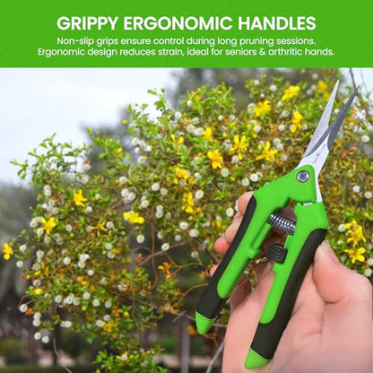GARDEN GURU Razor Sharp Snip – Professional Garden Pruning Shears Trimmers Scissors – Super Sharp Micro-Tip Precision Stainless Steel Blades - Easy on Arthritic Hands - Soft Ergonomic Rubber Handles - size: 1 Pack, style: Snips
