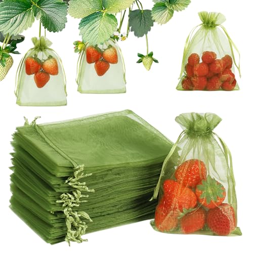 Shintop 100Pcs Fruit Protection Bags, 4x6Inch Green Strawberry Net Cover - size: 4x6 inch