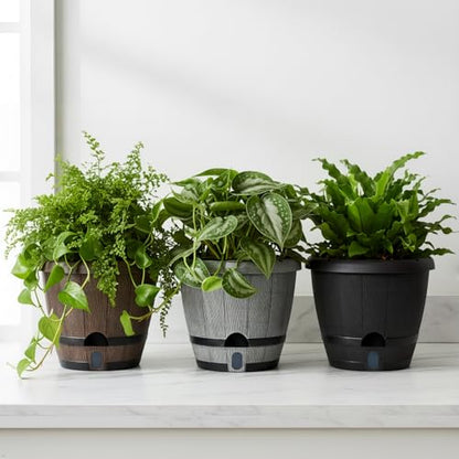 Sun-E 10" Self-Watering Whiskey Barrel Planters 3 Pack for Indoor Outdoor - color: Mix Colour Set
