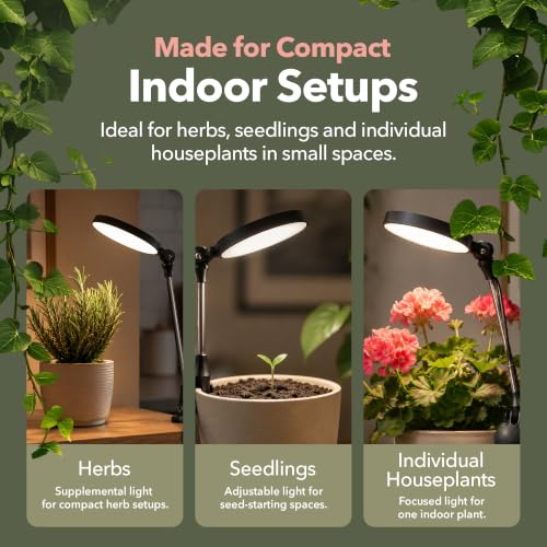 Mossify Clip-On LED Grow Light, Full Spectrum, Black - color: Black