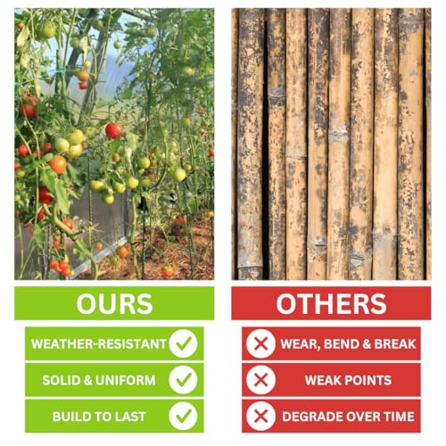 36 Inch Fiberglass Eco Friendly Garden Stakes 3ft 15 Pack - Durable, Lightweight, Tomato, Tree, Strawberry, Plant, Support Fencing Stakes with Patterned Surface, 5/16" Diameter