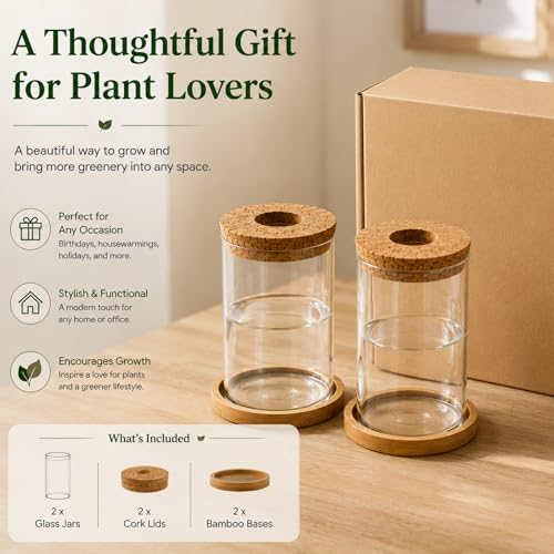 Glass Plant Propagation Stations, 2PCS