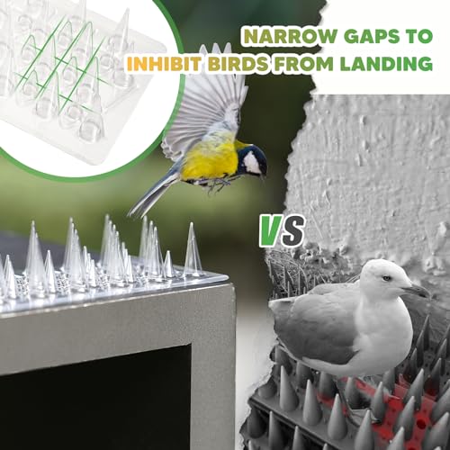 Zipcase 49.5 ft Transparent PVC Bird Spikes, Dual-Length Spikes, 36 Pack