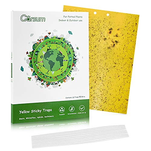 Garsum 20 Pack Gnat Sticky Traps for Indoor and Outdoor, Fruit Fly Paper Sheets Yellow Insect Killer for Flying,Whitefly, Aphids, Leafminers- 6x8 in, Twist Ties Included - color: 20 Pack